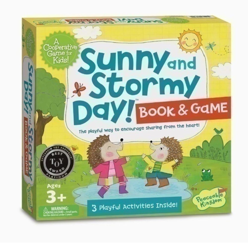 Sunny and Stormy Day Book and Game